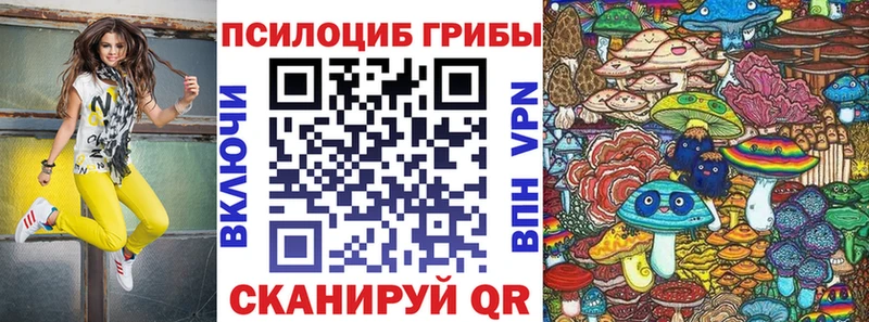 Галлюциногенные грибы Cubensis  купить наркоту  Моздок 